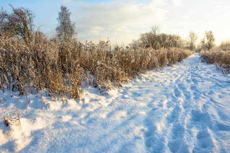 冬日的风景, 清晨的雪和阳光