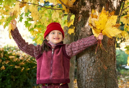 女孩在秋季森林构成，黄色叶子和树背景