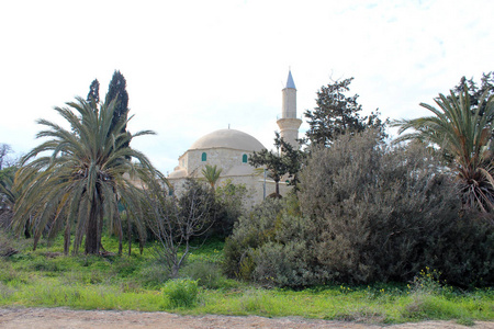 Hala Sultan Tekke 清真寺附近塞浦路斯拉纳卡