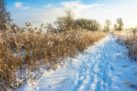 晴朗的冬日景观与路径通过字段和草地上的雪