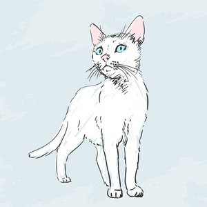 白色的猫猫素描可爱的猫头像素描可爱的猫头像素描矢量素描原始图的
