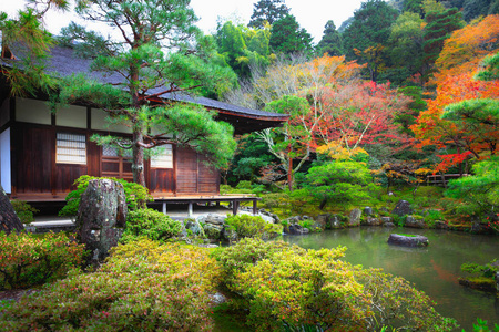 日本花园在银阁寺