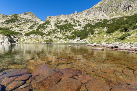 景观与左 Kralev 沃通行证和 Samodivski 湖，皮林山