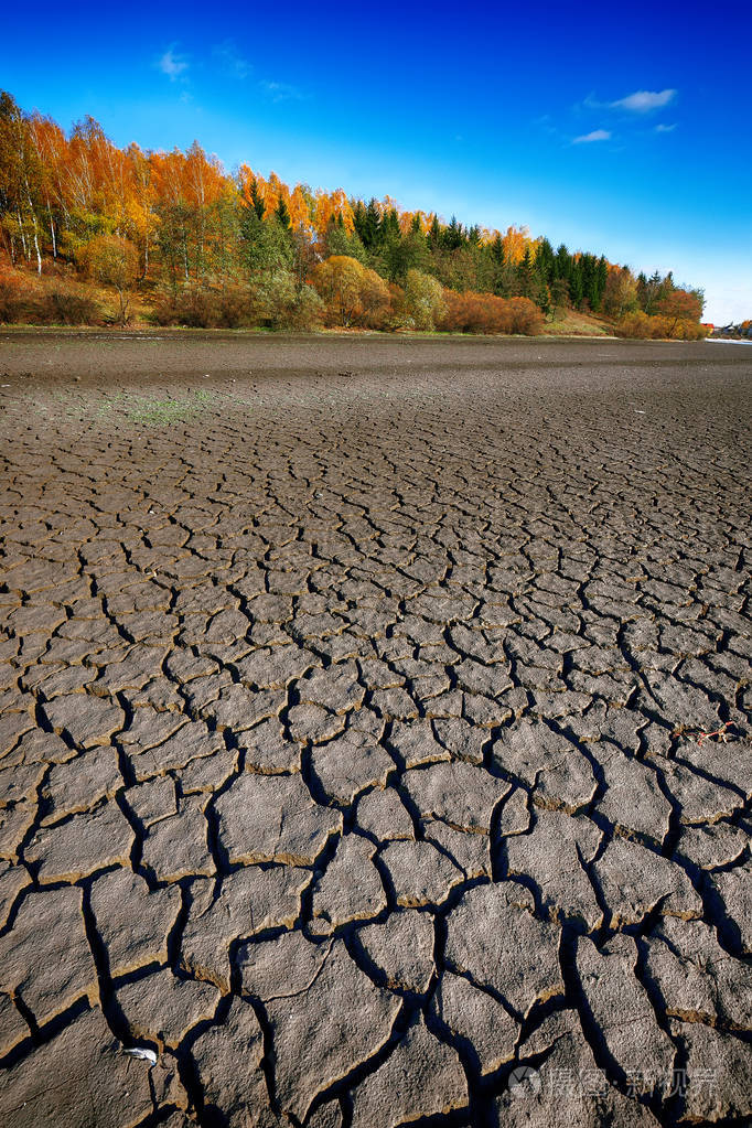土地干裂的地面