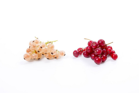 白色和红醋栗果浆果上白色孤立。一束白色