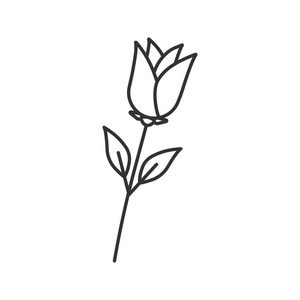 玫瑰花朵线性图标