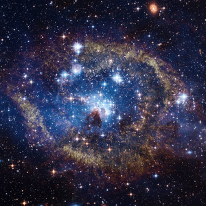 大麦哲伦星云中的恒星形成