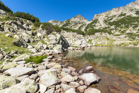 景观与左 Kralev 沃通行证和 Samodivski 湖，皮林山