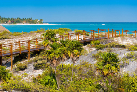 古巴最高的桥图片