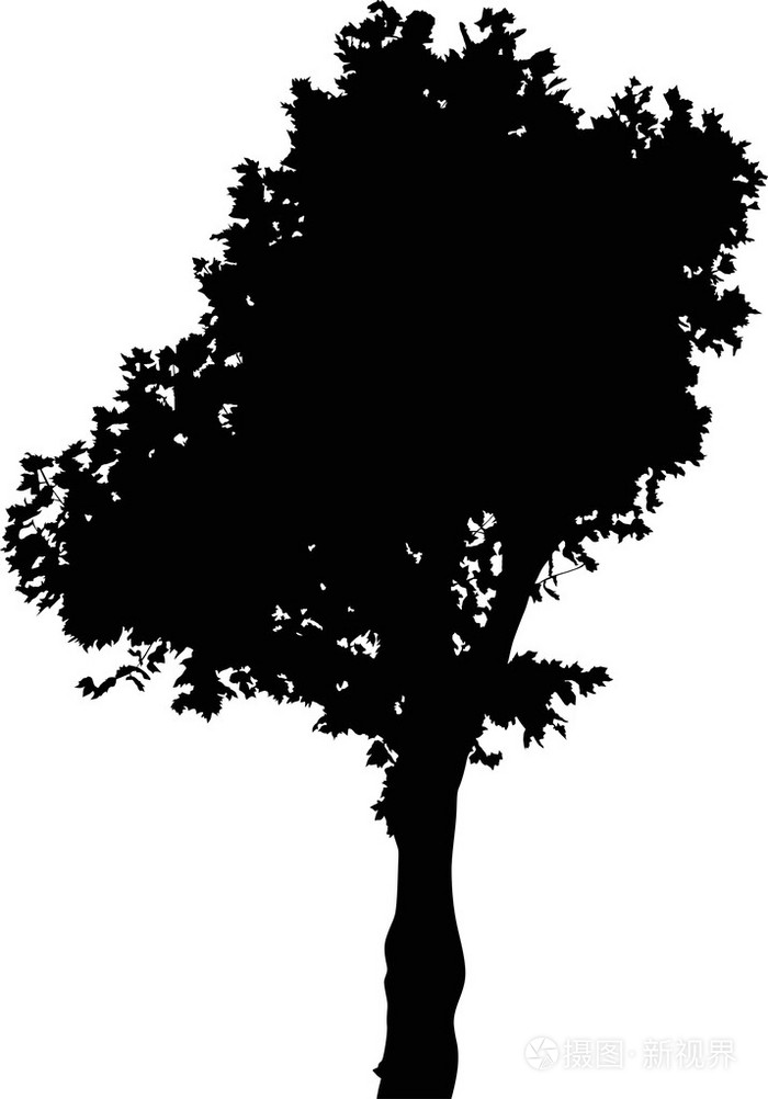树剪影