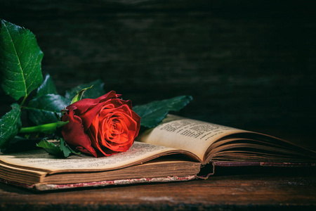 红玫瑰上深色背景复古书
