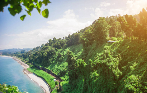 美丽夏天风景从植物园的海湾和铁路上海岸