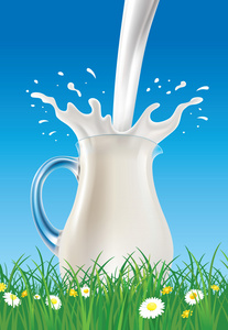 与牛奶溅上草田洋甘菊水罐照片