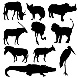 非洲动物组。白色背景上的黑色剪影。矢量