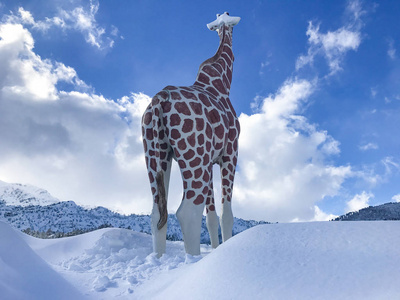 冬天的景色和雪水平