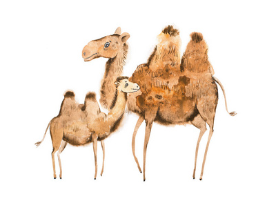 骆驼妈妈和小牛手工插图