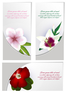 集花宣传册设计图片