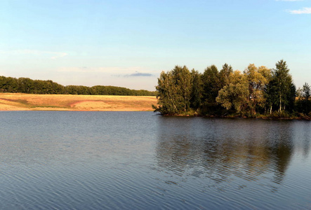 夏天的池塘。阿尔泰地区。俄罗斯
