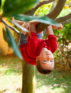 孩子爬上一棵树