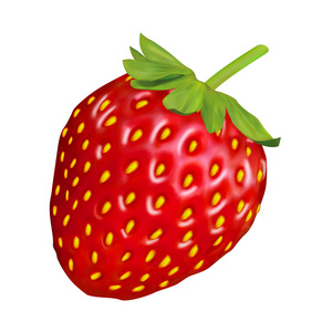 白色背景上的现实草莓。向量集