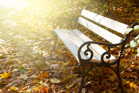 空板凳片秋色的公园