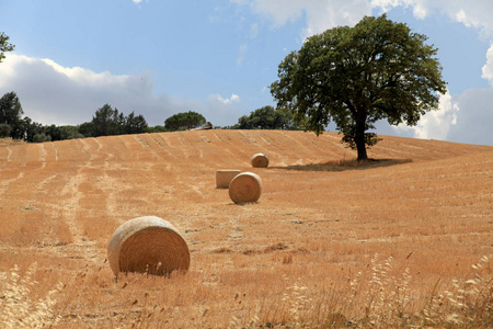 与干草捆，意大利托斯卡纳景观