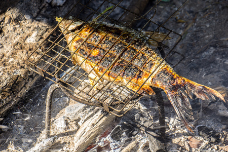 烤的鱼 铁格栅 火灾 木材 木炭