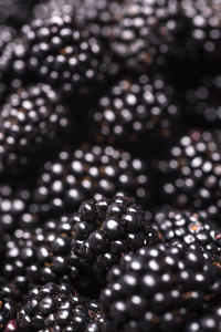 黑莓汁野生水果生食背景图片