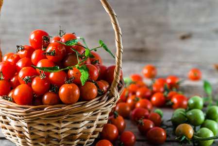 小西红柿樱桃番茄呼吁木桌，新鲜有机蔬菜，本地生产