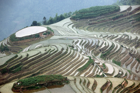 龙脊梯田