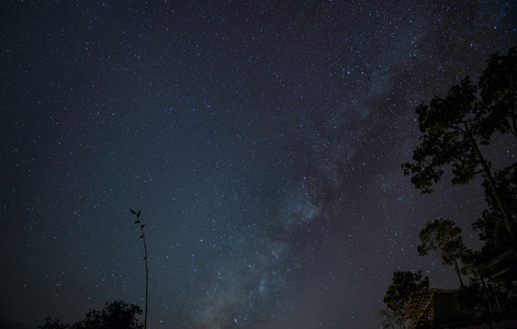 在夜晚的天空上的星星