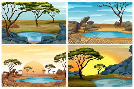 四个场景的热带稀树草原字段与水坑
