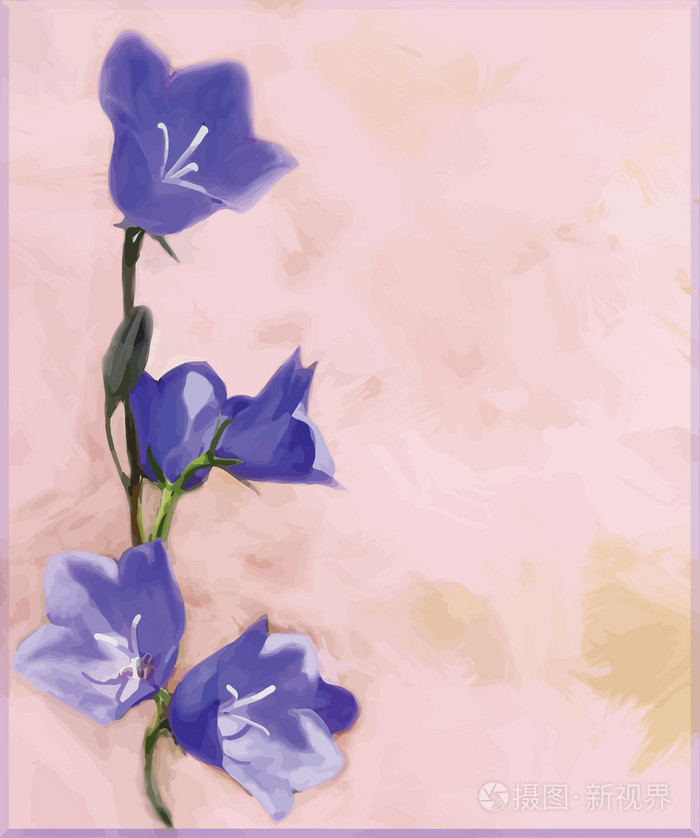 蓝铃花与花贺卡上grunge 染色背景插画 正版商用图片0v9dzl 摄图新视界