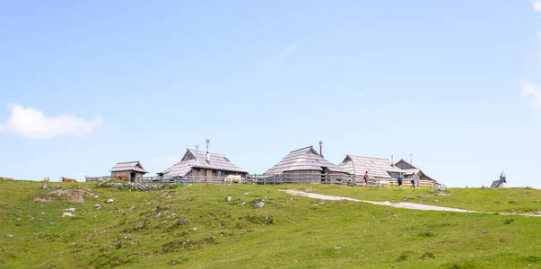 在阿尔卑斯山，流行徒步旅行目的地的传统风格的木结构房屋的韦利卡山高原，斯洛文尼亚，山村里