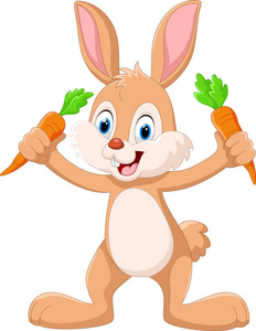 可爱的小兔子控股胡萝卜
