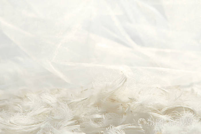 羽毛和白色薄纱织物背景