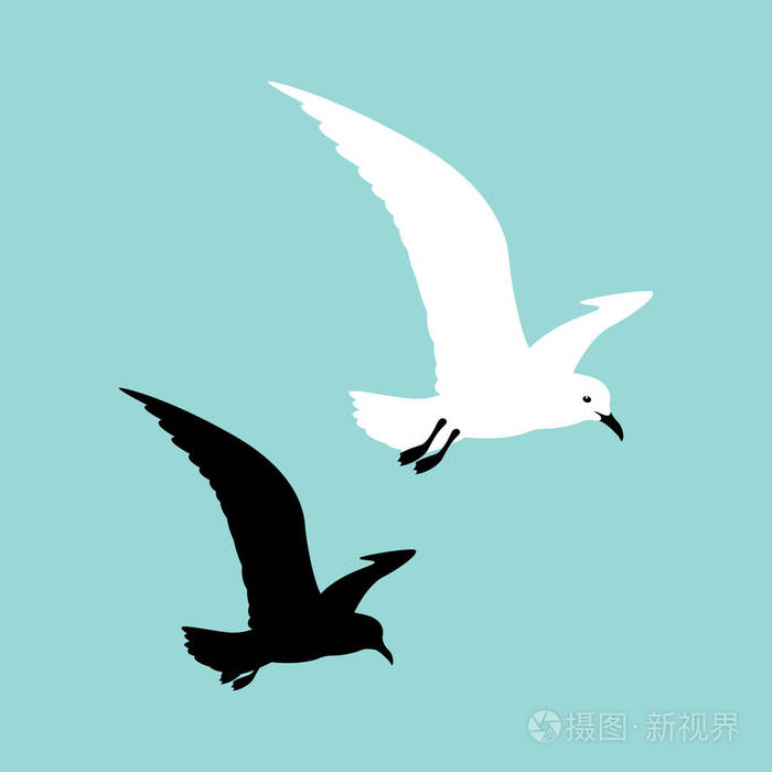 海鸥矢量插图风格平黑色剪影插画-正版商用图片0v9rvf-摄图新视界