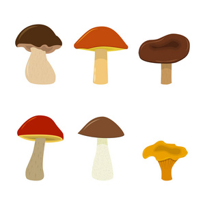矢量蘑菇套。白色背景卡通蘑菇上孤立