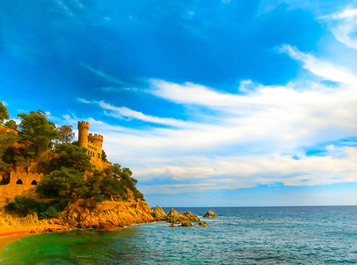 岛东部南部岩石海岸线蝴蝶瓦内萨卡迪从紫色的花中收集花蜜马基迪