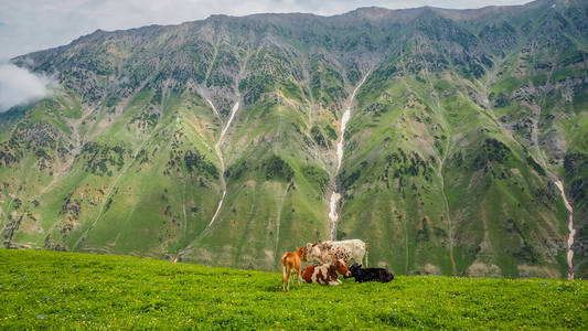 Sonamarg，印度克什米尔邦的美丽的山地景观