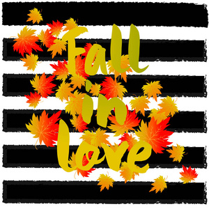 枫叶和雪的说说图片