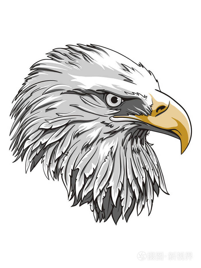 白头鹰logo图片
