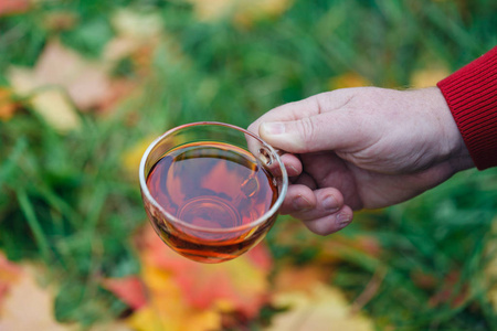 男人与茶走在秋天公园与枫叶杯