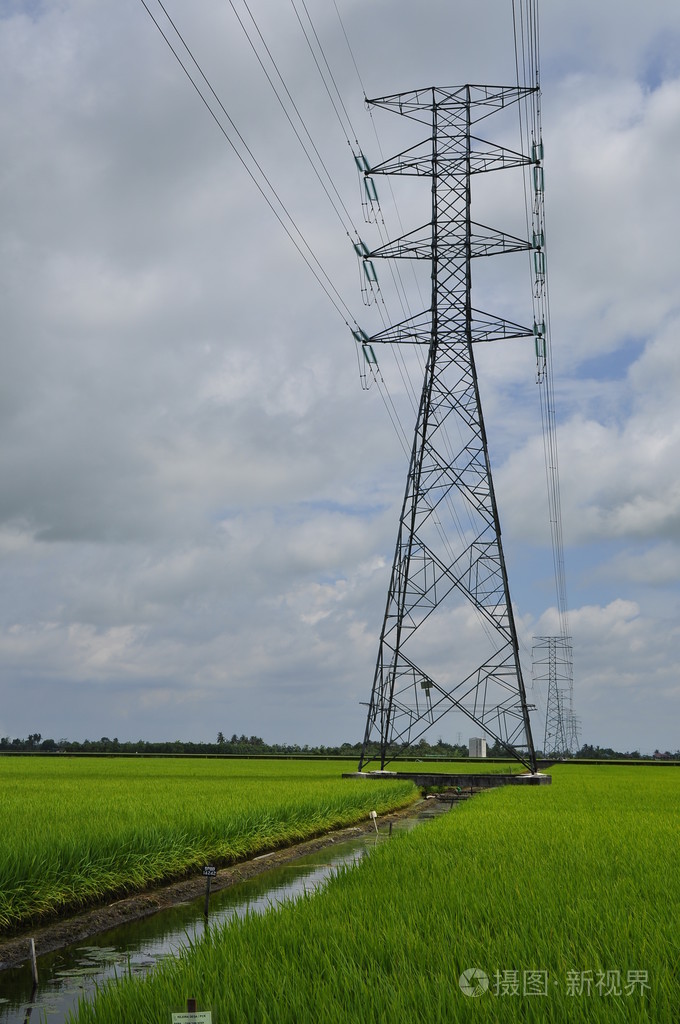 在稻田中电网