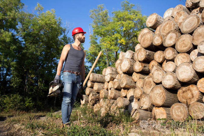 *3648px发票合同问题/查看作者其他作品查看更多>伐木工人用电锯和
