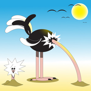 不会害怕在沙子里的鸵鸟头照片