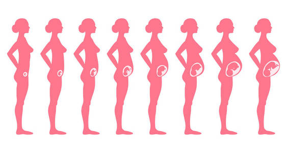 怀孕怀孕的女人集合图片