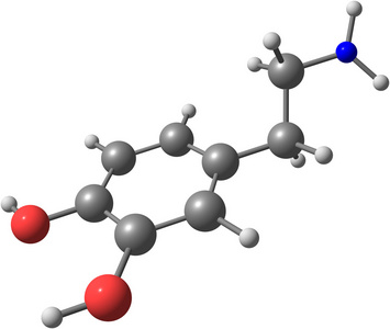 聚多巴胺分子结构图片