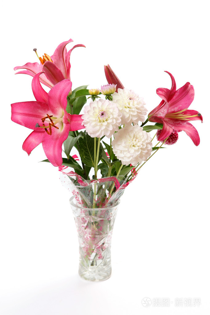 菊花和百合的香味