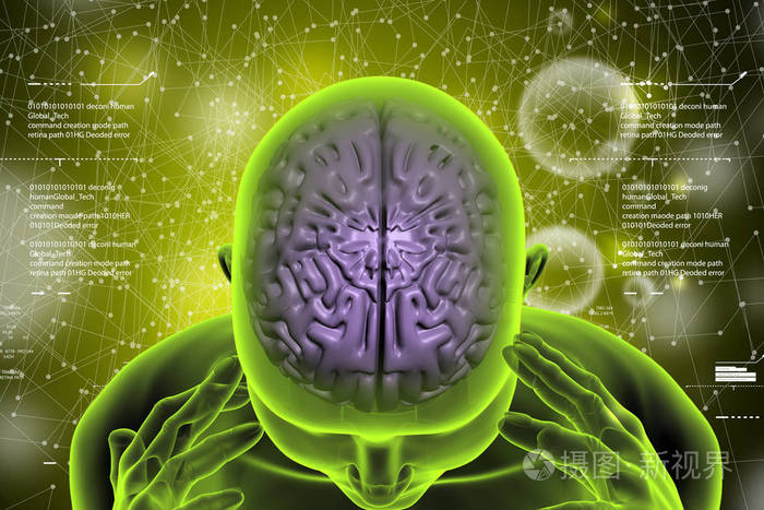 3d人脑表象图